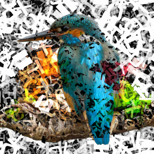 Variation 4