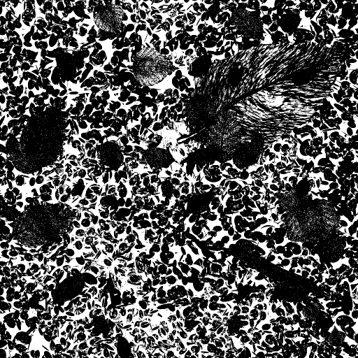Reflective Occlusion Map