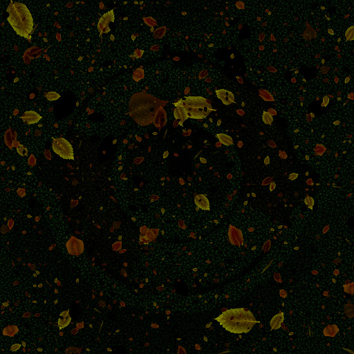 Variation 4
