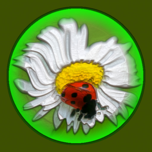 Variation 7