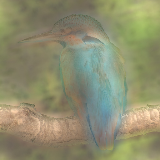 Variation 6