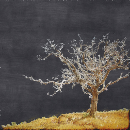 Variation 5