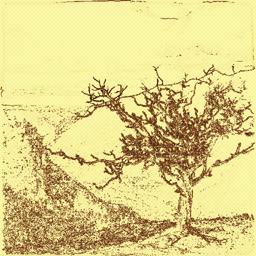 Variation 5