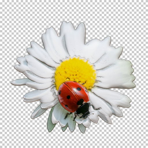 Variation 3