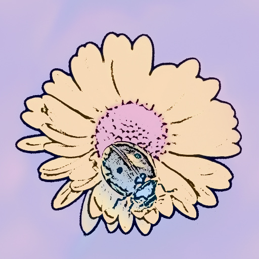 Variation 8