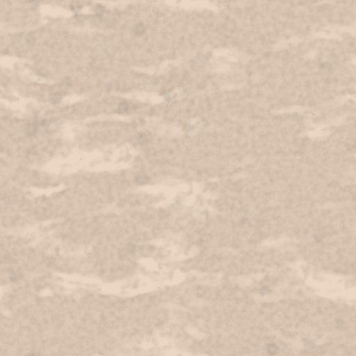 Diffuse Map