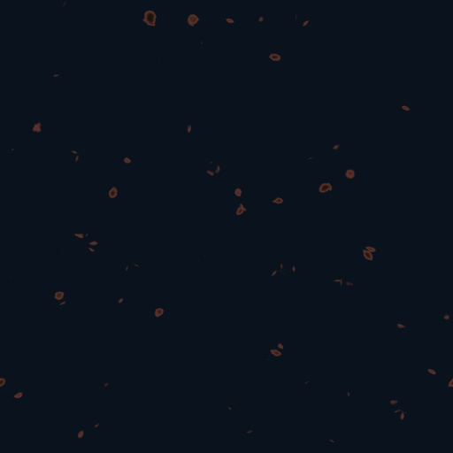 Diffuse Map
