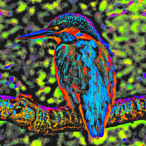 Variation 5