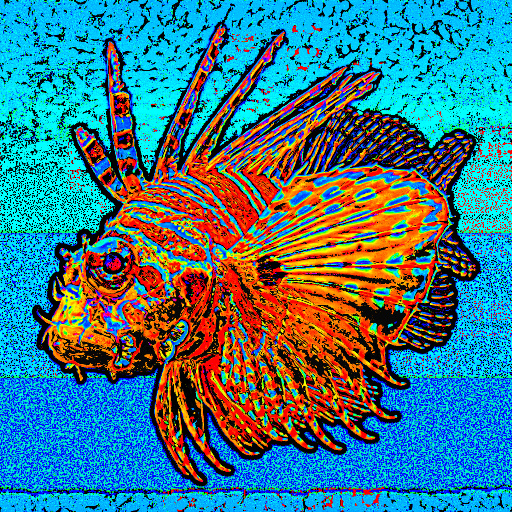 Variation 7