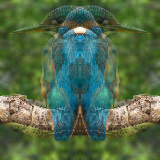 Variation 1