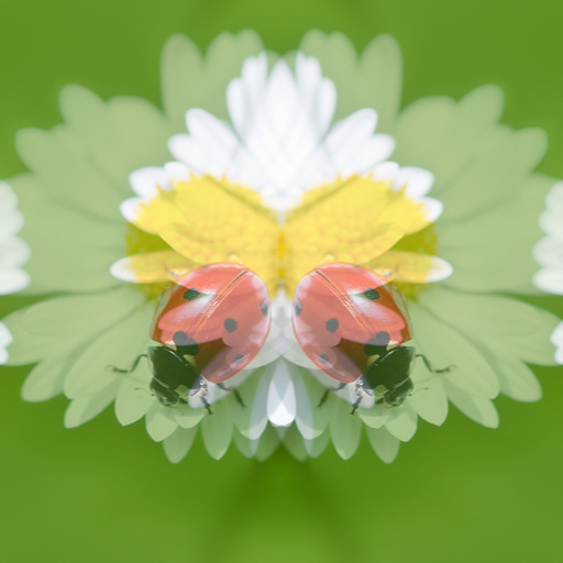 Variation 2