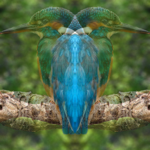 Variation 6