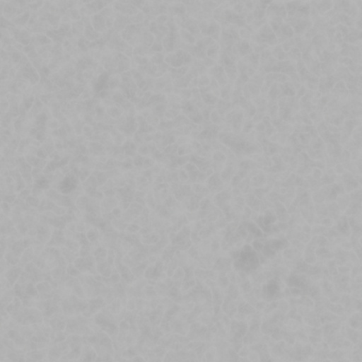 Diffuse Map