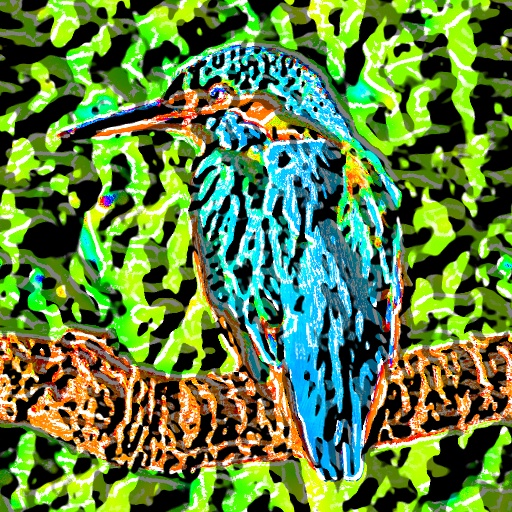 Variation 1