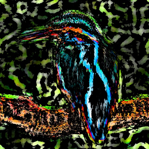 Variation 8