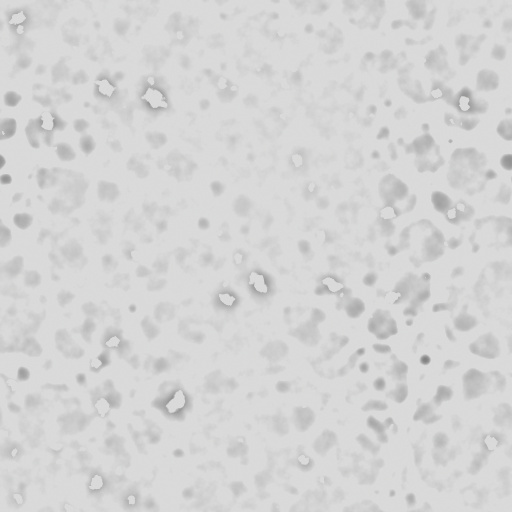Diffuse Map