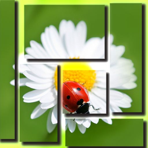 Variation 6