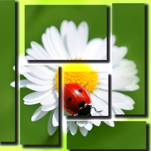 Variation 7