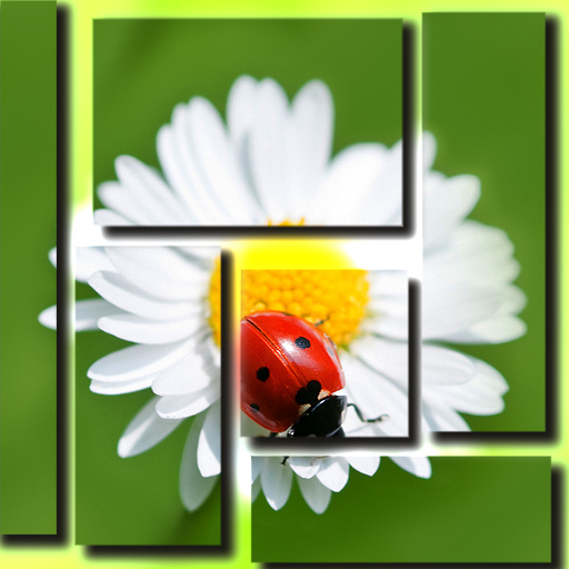 Variation 8