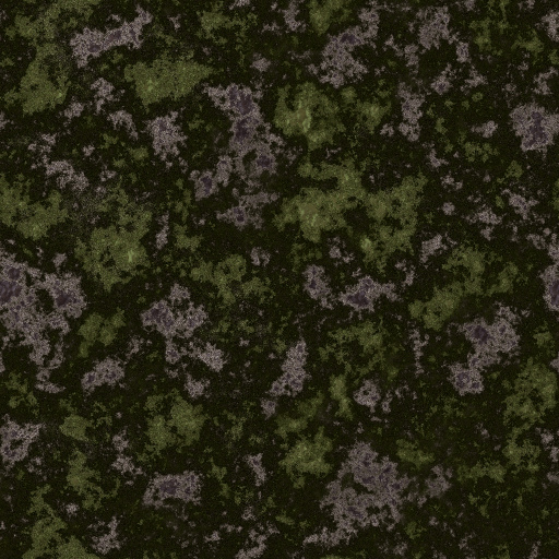 Variation 4
