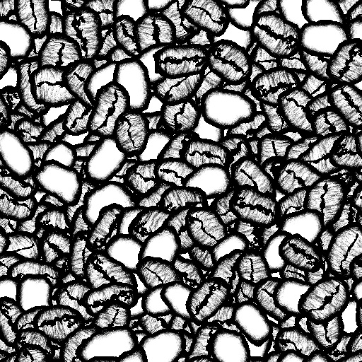 Reflective Occlusion Map