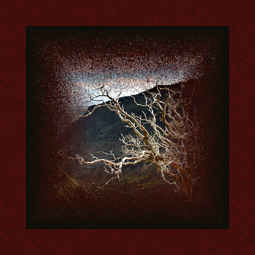 Variation 4