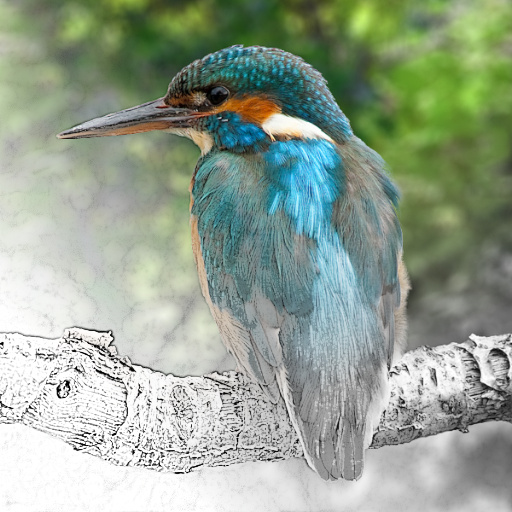 Variation 5