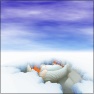Stone World Landscapes - Silicon and jitspoe Mandelbrot