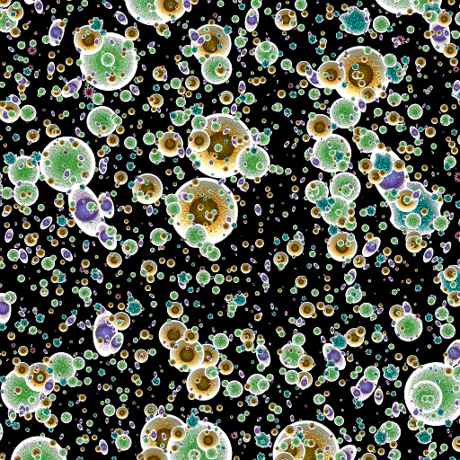 Variation 2