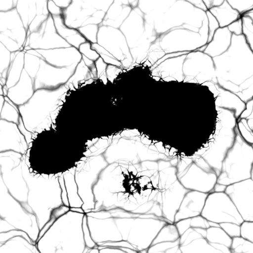 Bump Map