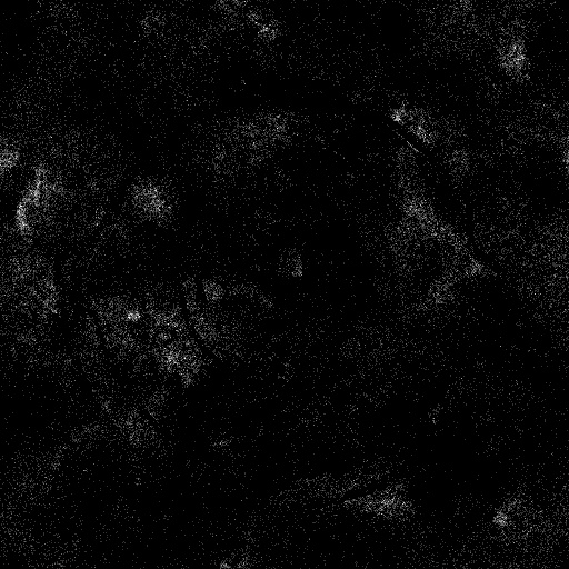 Reflective Occlusion Map