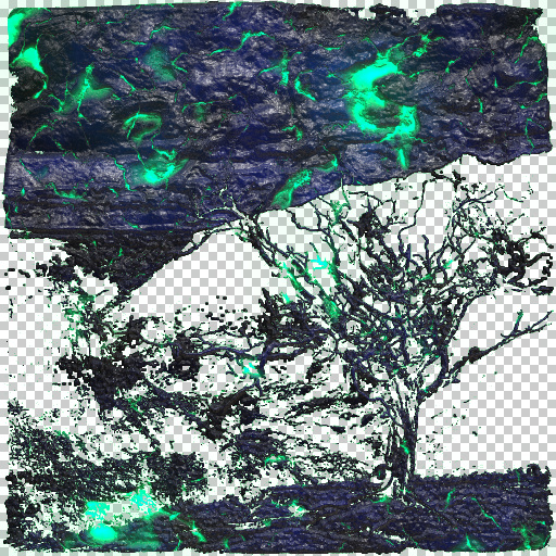 Variation 4