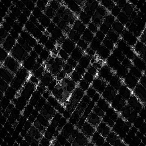 Ambient Occlusion Map