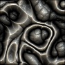 Unidentafied Organic Substance (Snippet)