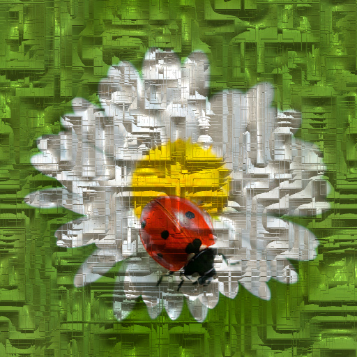 Variation 8