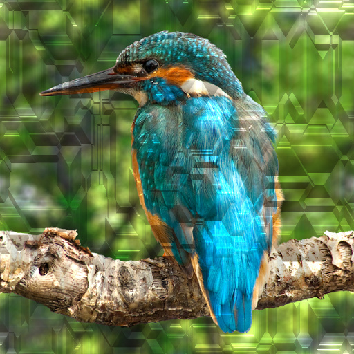 Variation 2