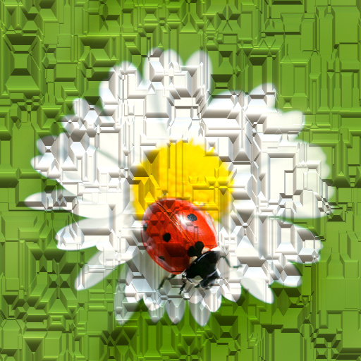 Variation 6