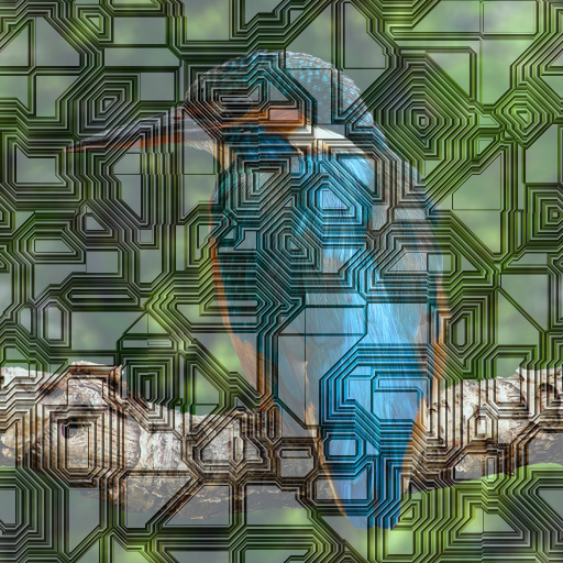 Variation 2