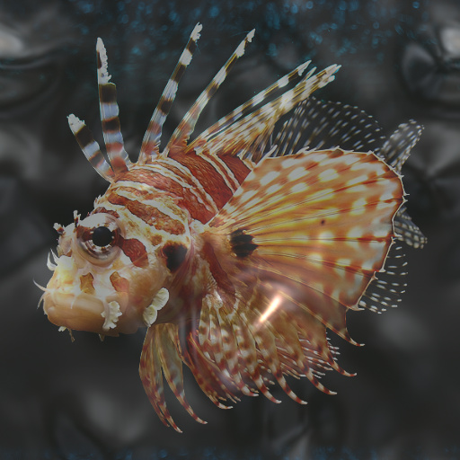 Variation 4