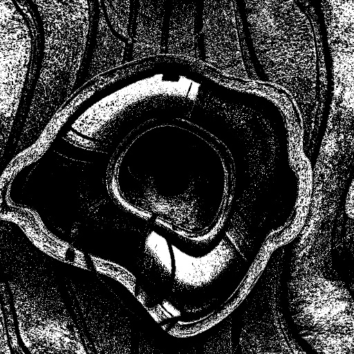 Ambient Occlusion Map
