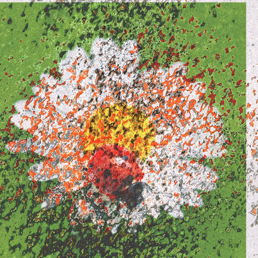 Variation 7