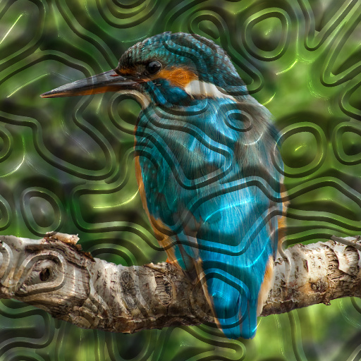 Variation 3