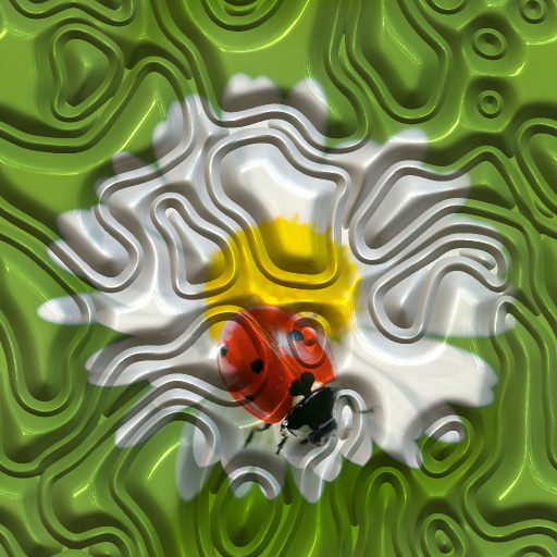Variation 5