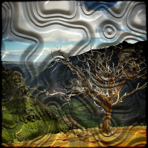 Variation 6