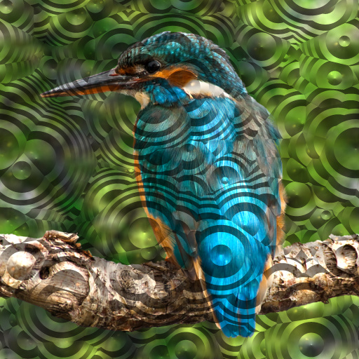 Variation 5