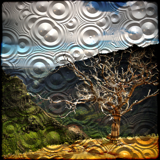 Variation 6