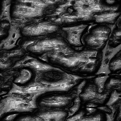 Ambient Occlusion Map