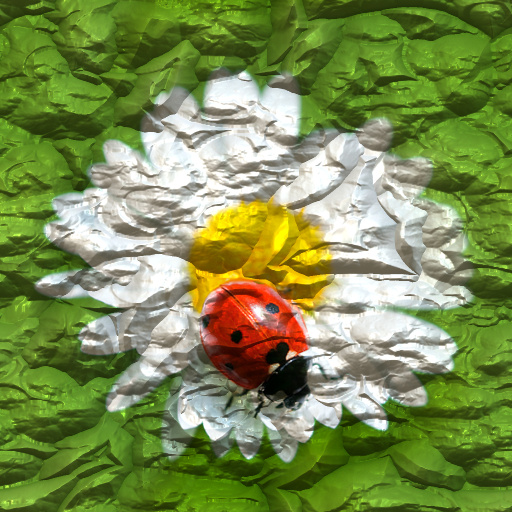 Variation 7