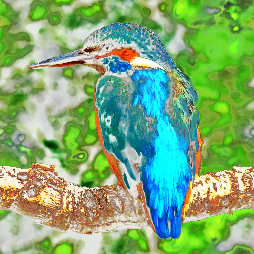 Variation 3