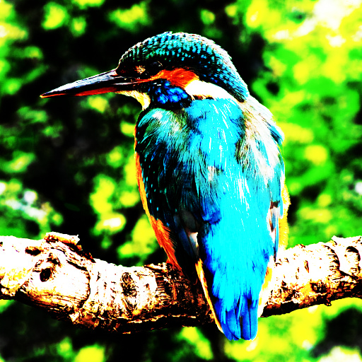 Variation 5